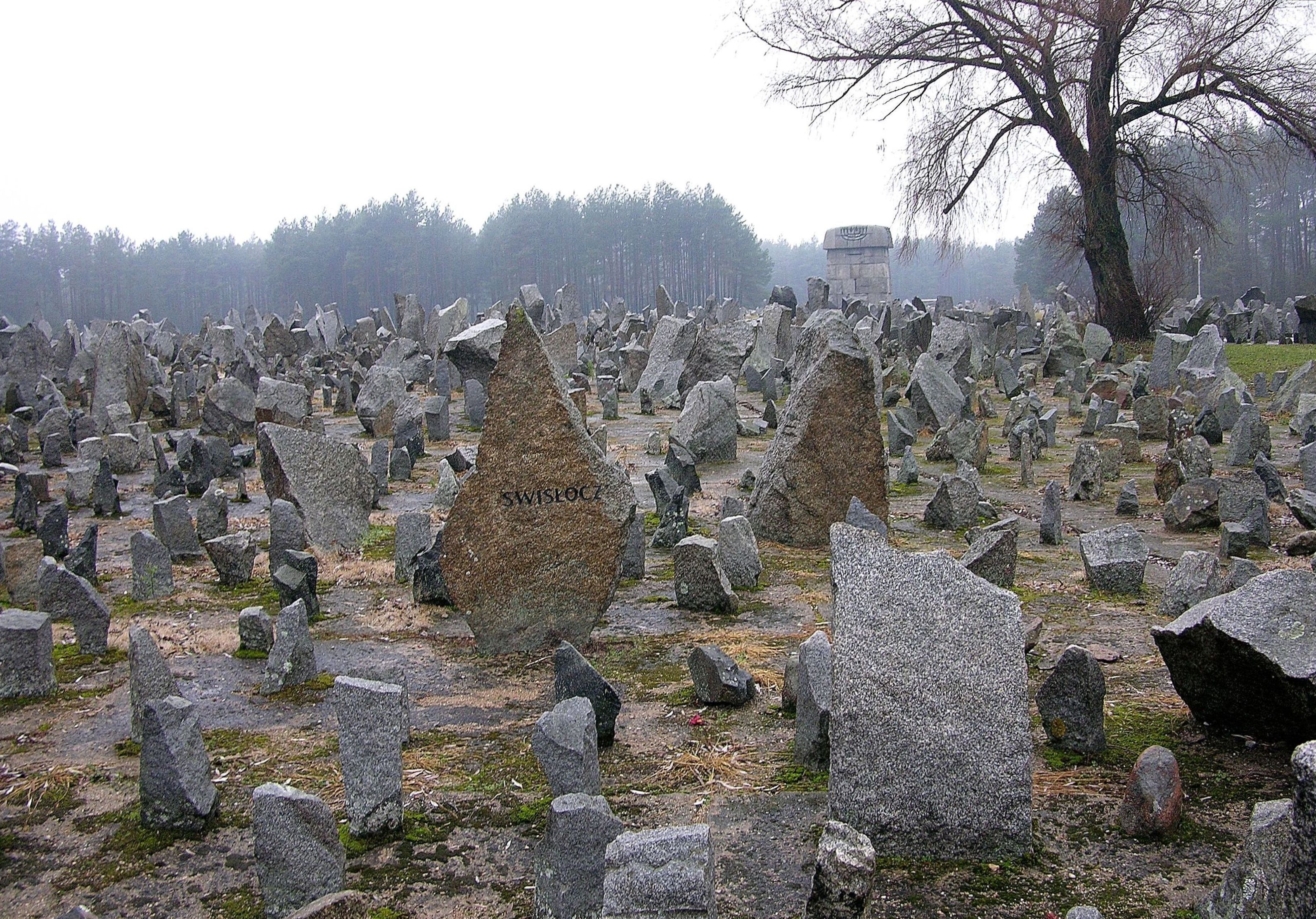 Memorial at Treblinka II, Poland. Author: Adrian Grycuk. Source: wikimedia/ CC BY-SA 3.0 pl