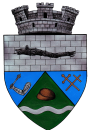 logo of Pecica Municipality